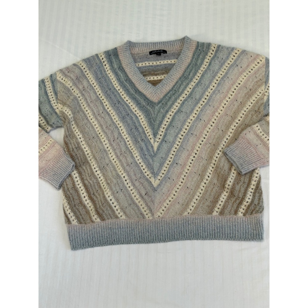 Charlie B Womens V-Neck Striped Pointelle Knit Sweater Blue Tan Large